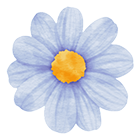 vector-image-2
